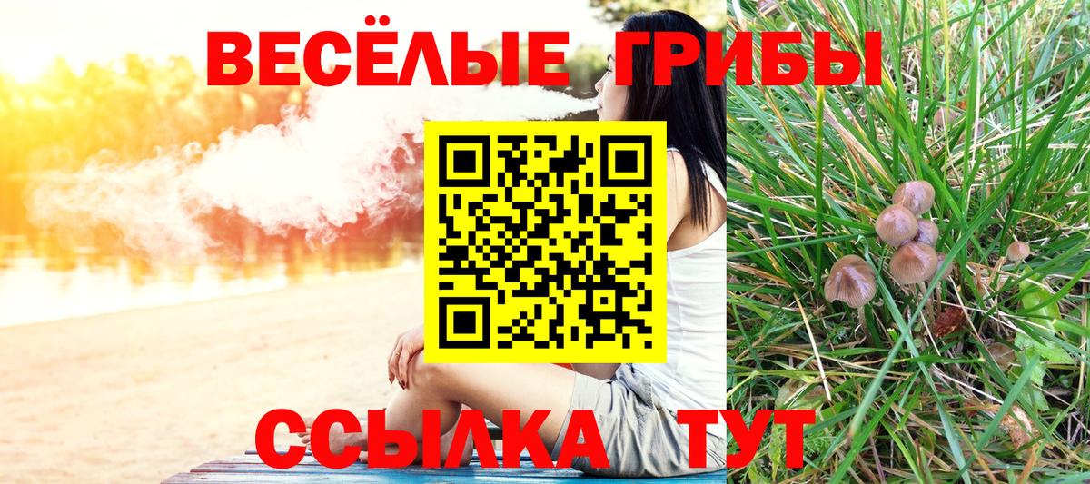 Галлюциногенные грибы GOLDEN TEACHER Домодедово